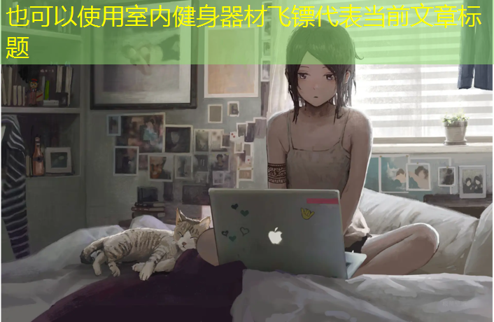 室內健身器材飛鏢